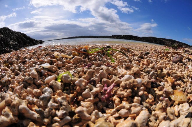 Maerl Beach, Carreroe, Co. Galway