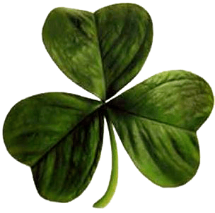 Irish_clover02