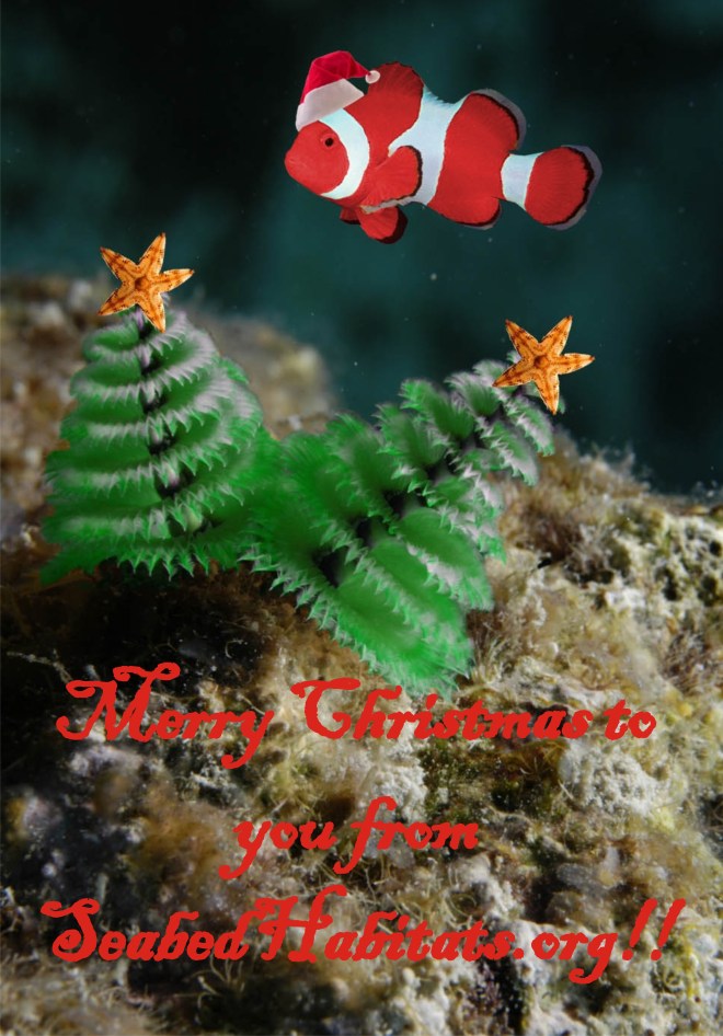 Happy Christmas Tree Worm