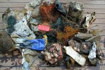 Marine Litter