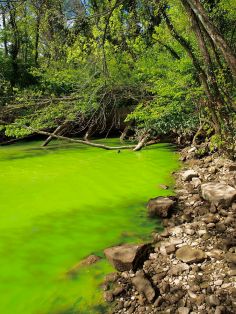 675px-Potomac_green_water