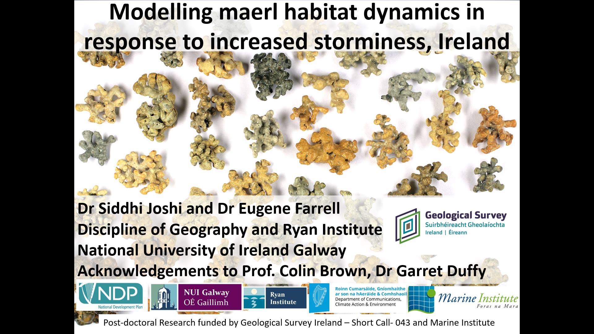 36087462_10155787784647887_3075110628755505152_o