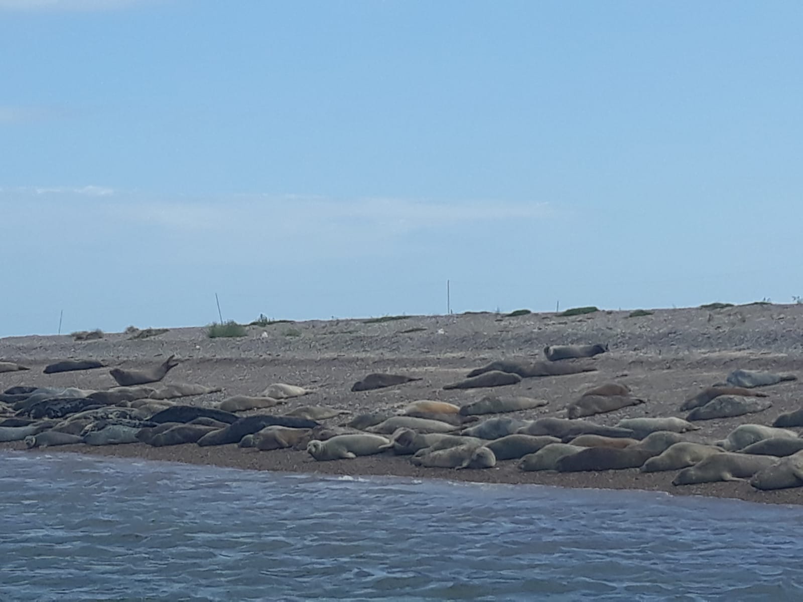 IMG-20190820-WA0083