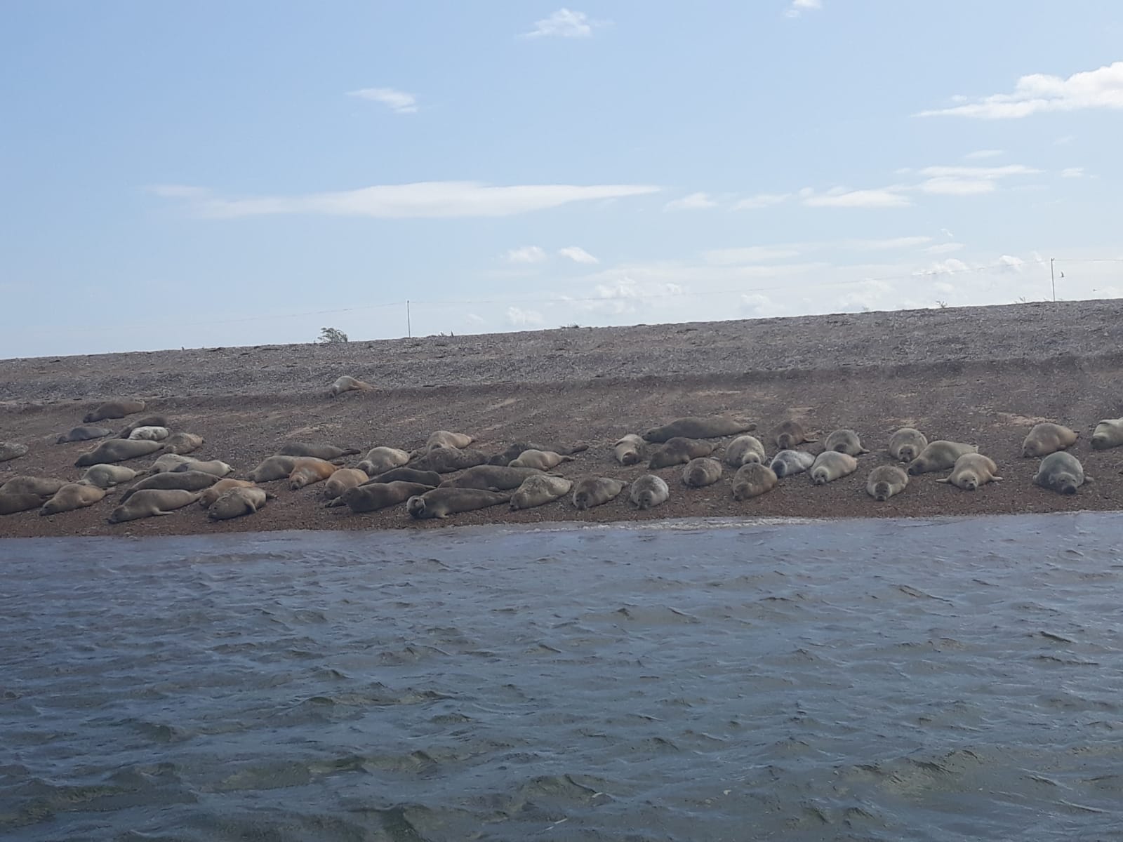 IMG-20190820-WA0096