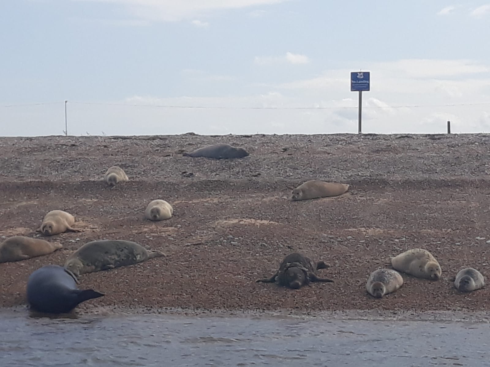 IMG-20190820-WA0098