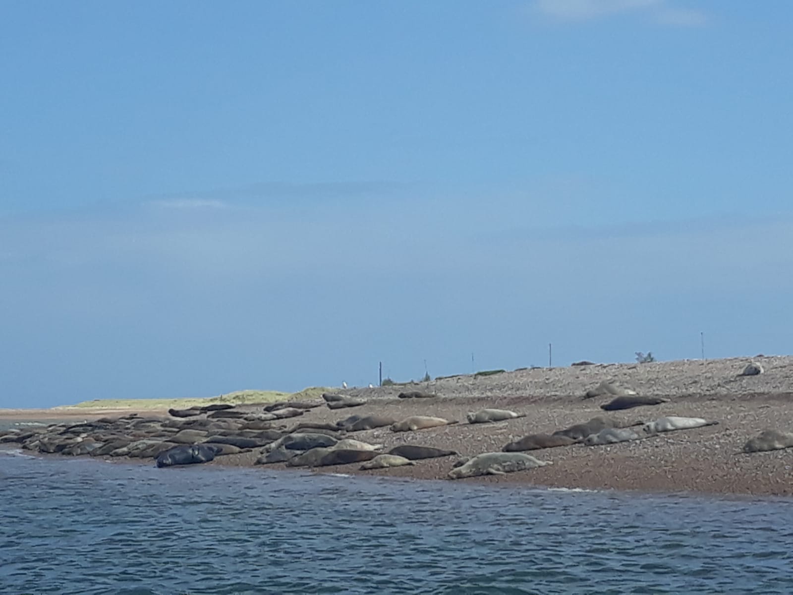 IMG-20190820-WA0104
