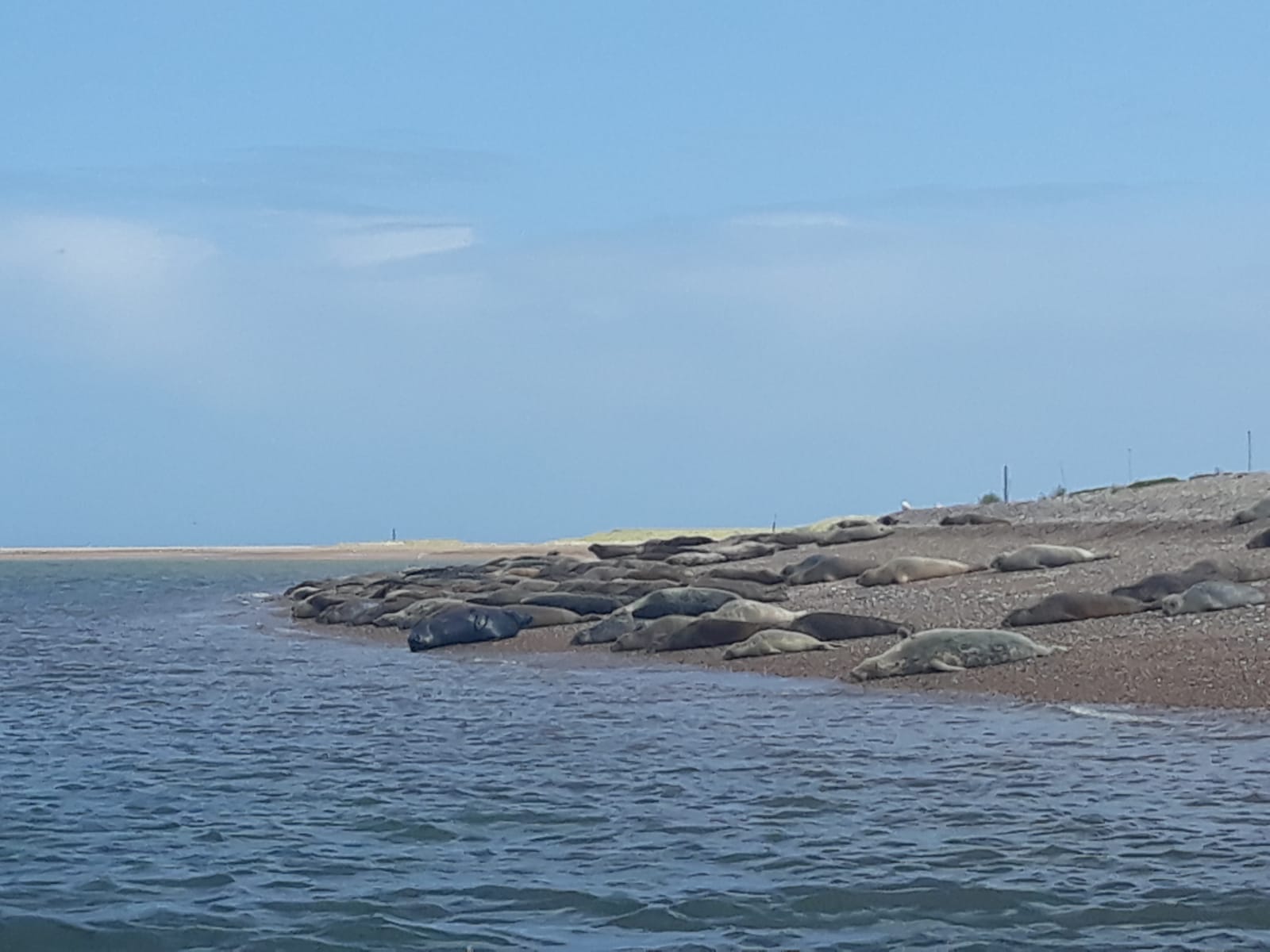 IMG-20190820-WA0113