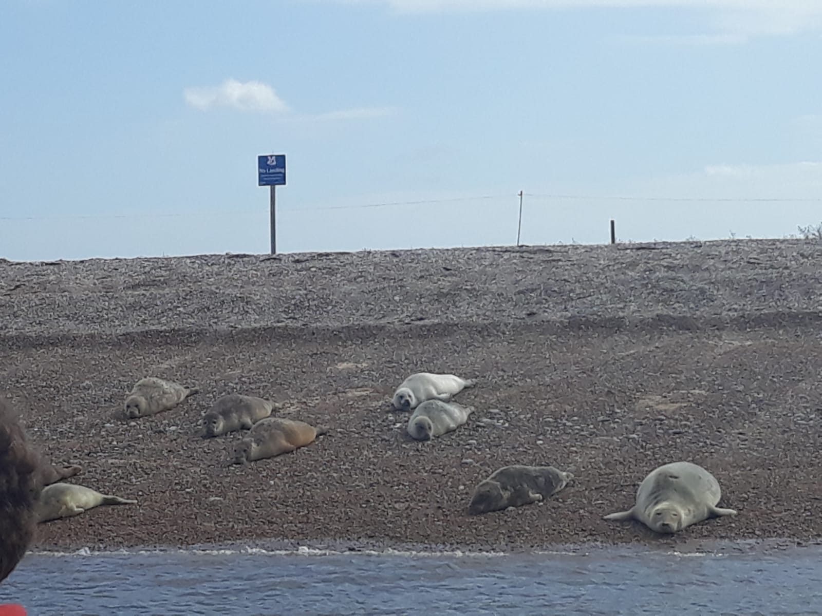 IMG-20190820-WA0128